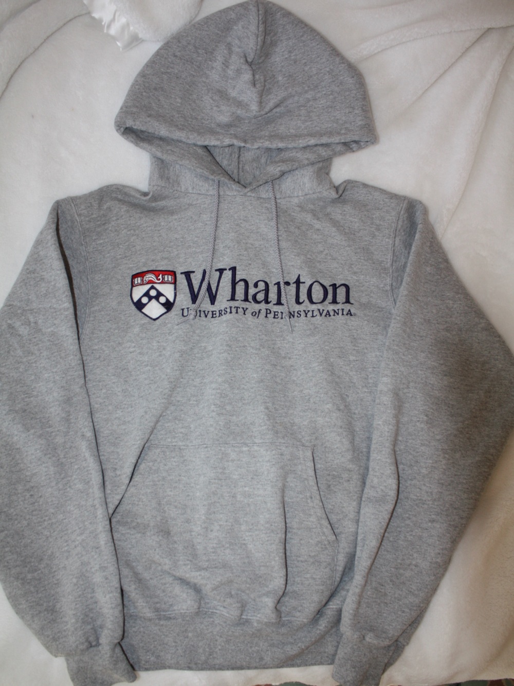 Men’s University of Pennsylvania Wharton Gray Champion Hoodie